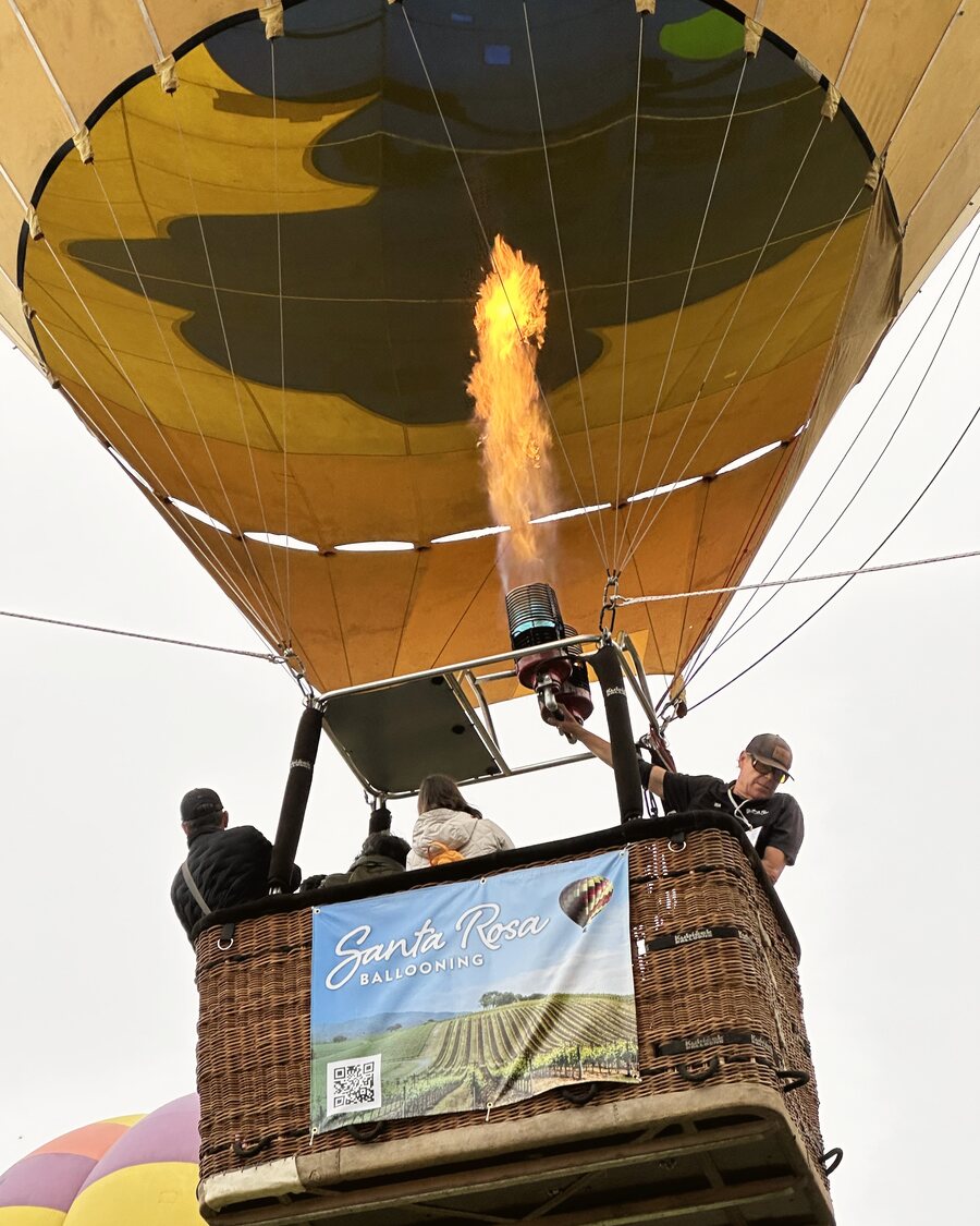 The Santa Rosa Ballooning balloon climbing under a full burner flame