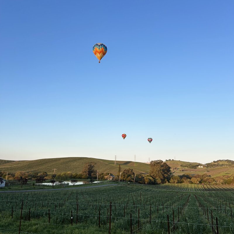 Balloons dotting the morning sky above wine country